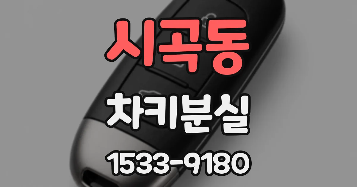 시곡동 차키분실