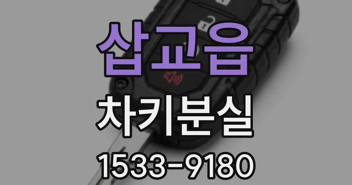 삽교읍 차키분실