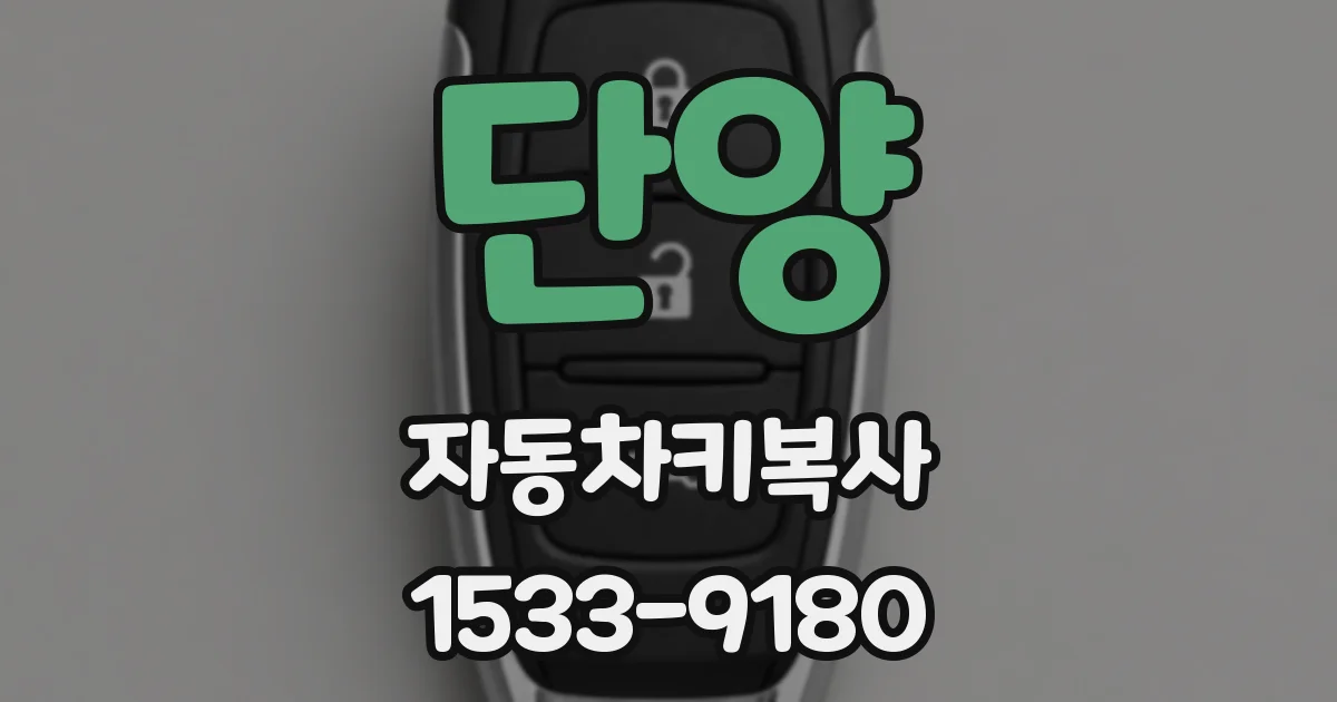 단양 자동차키복사