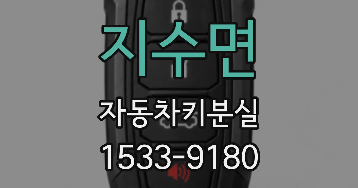 지수면 자동차키분실