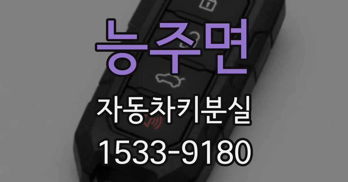 능주면 자동차키분실