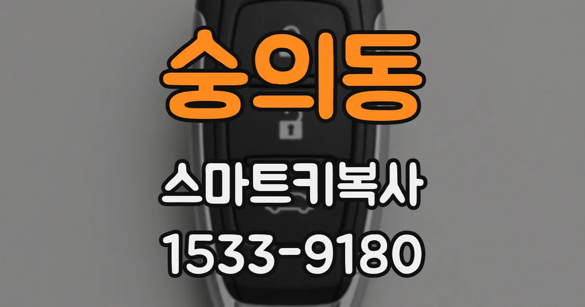숭의동 스마트키복사