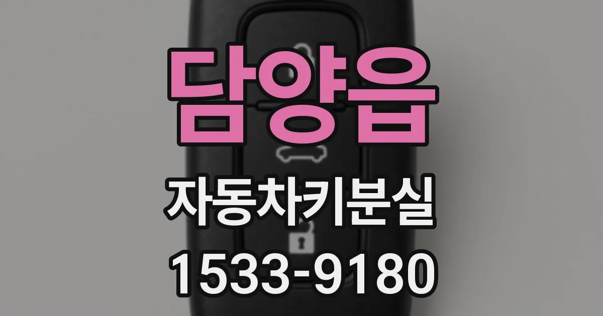 담양읍 자동차키분실