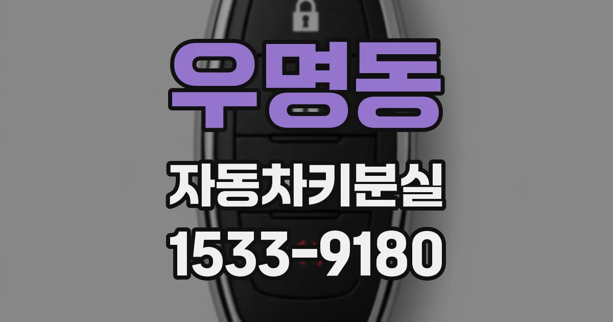우명동 자동차키분실