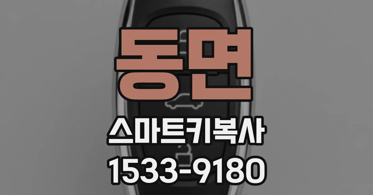 동면 스마트키복사