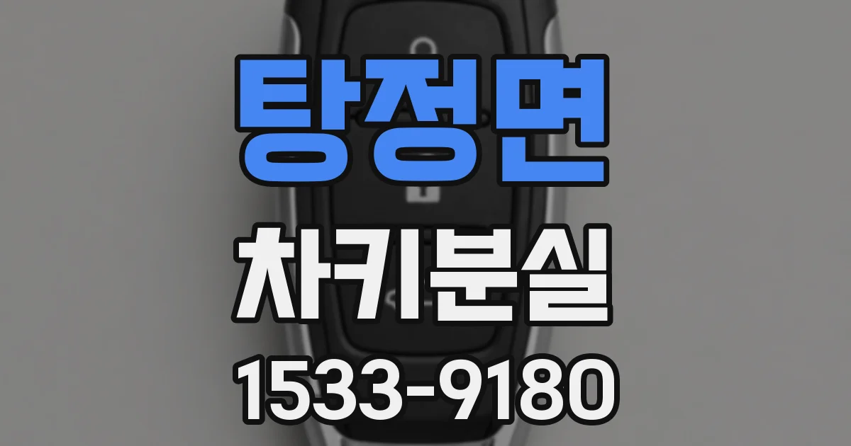 탕정면 차키분실