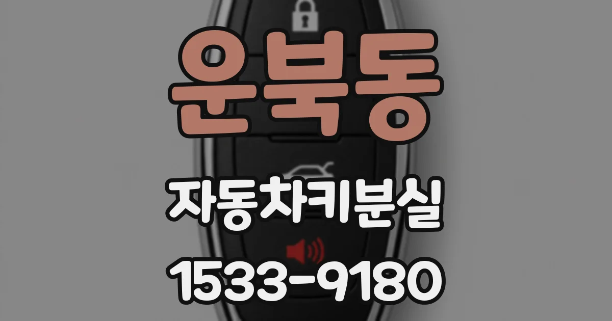 운북동 자동차키분실