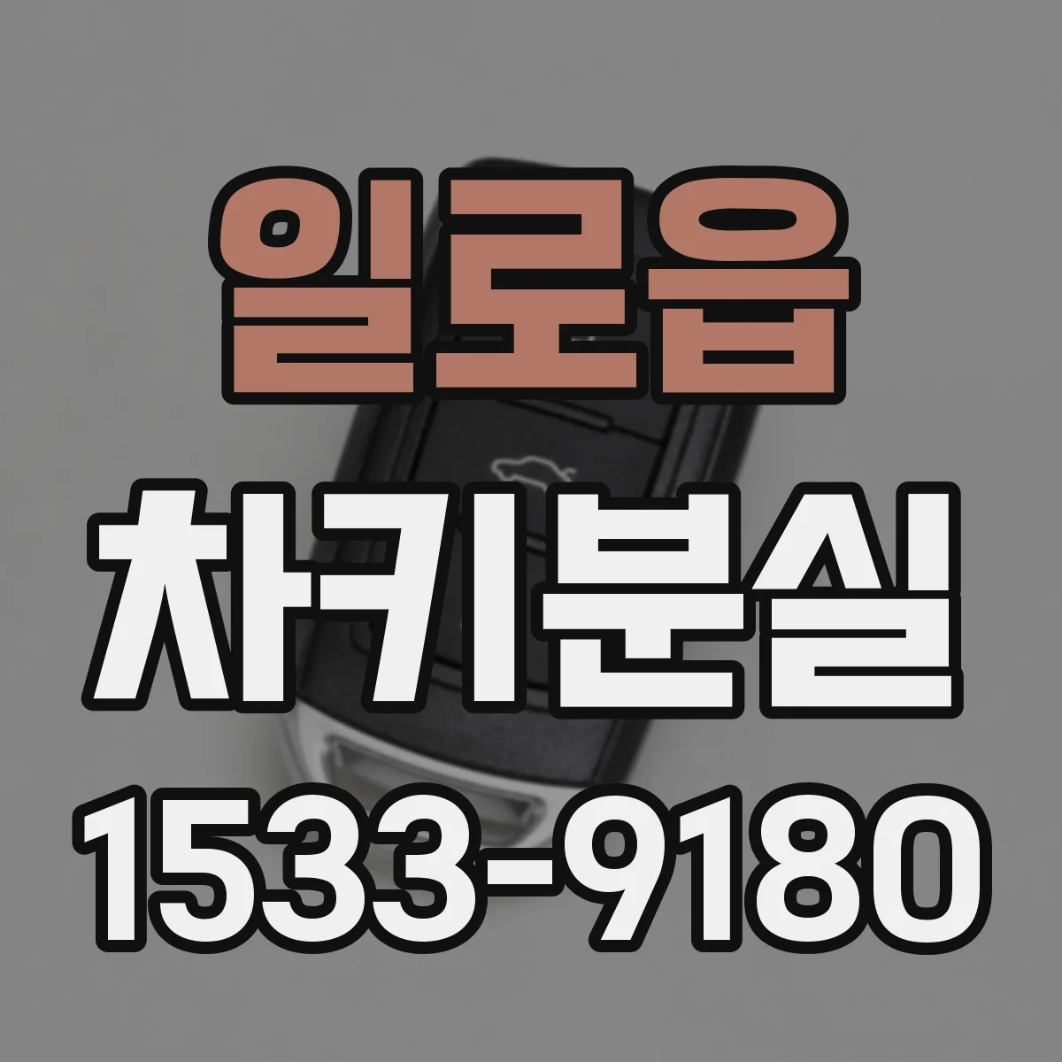일로읍 차키분실