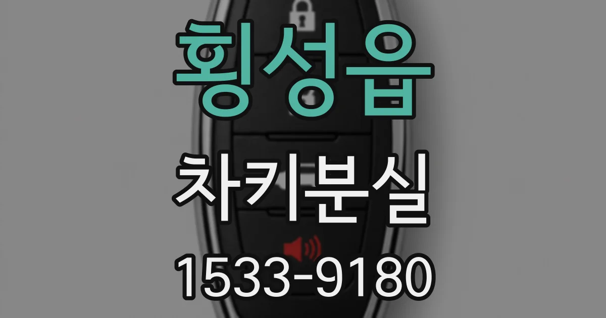 횡성읍 차키분실