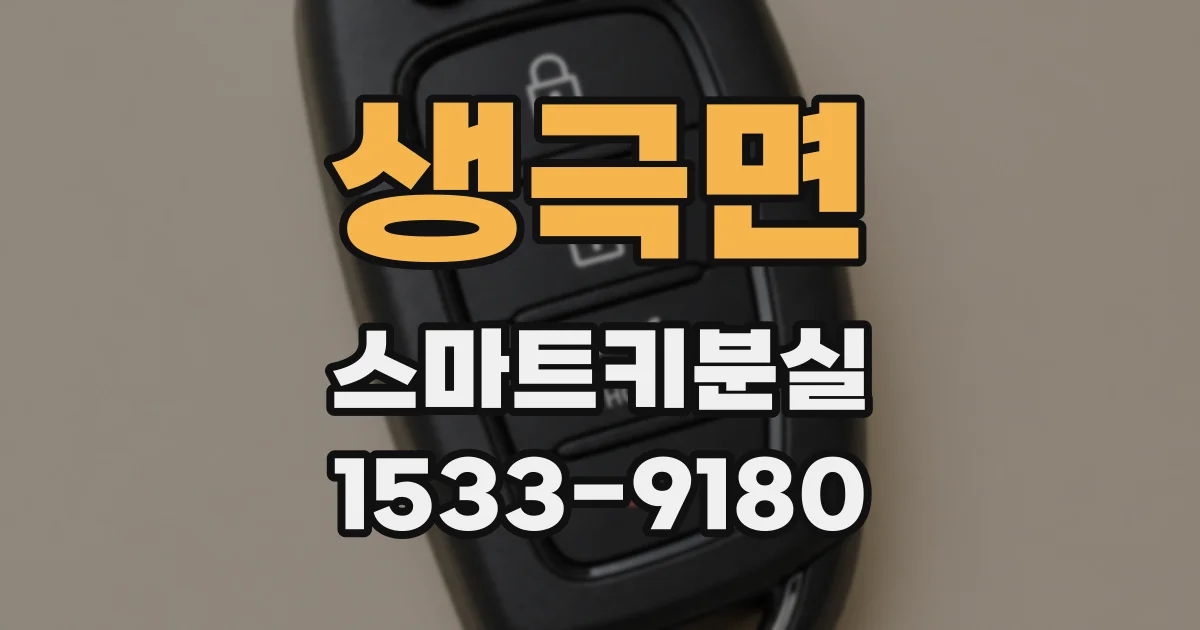 생극면 스마트키분실