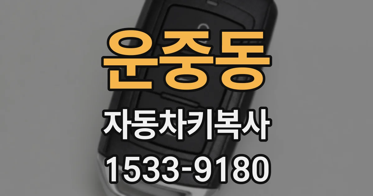 운중동 자동차키복사