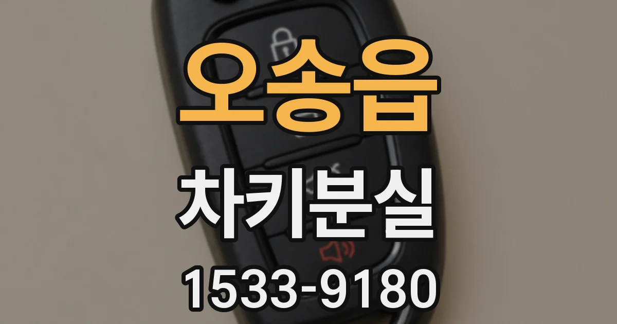 오송읍 차키분실