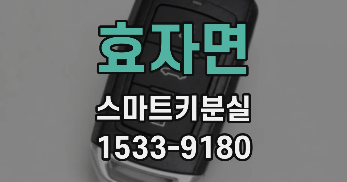 효자면 스마트키분실