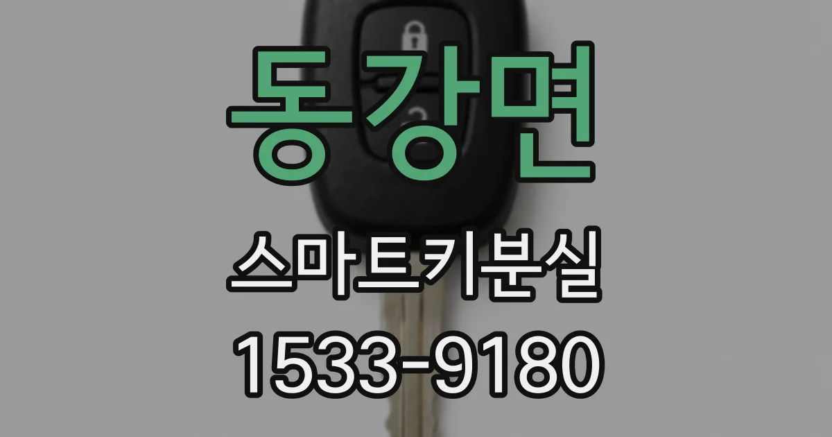 동강면 스마트키분실