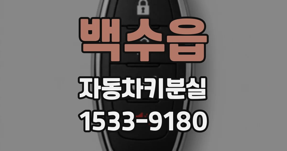 백수읍 자동차키분실