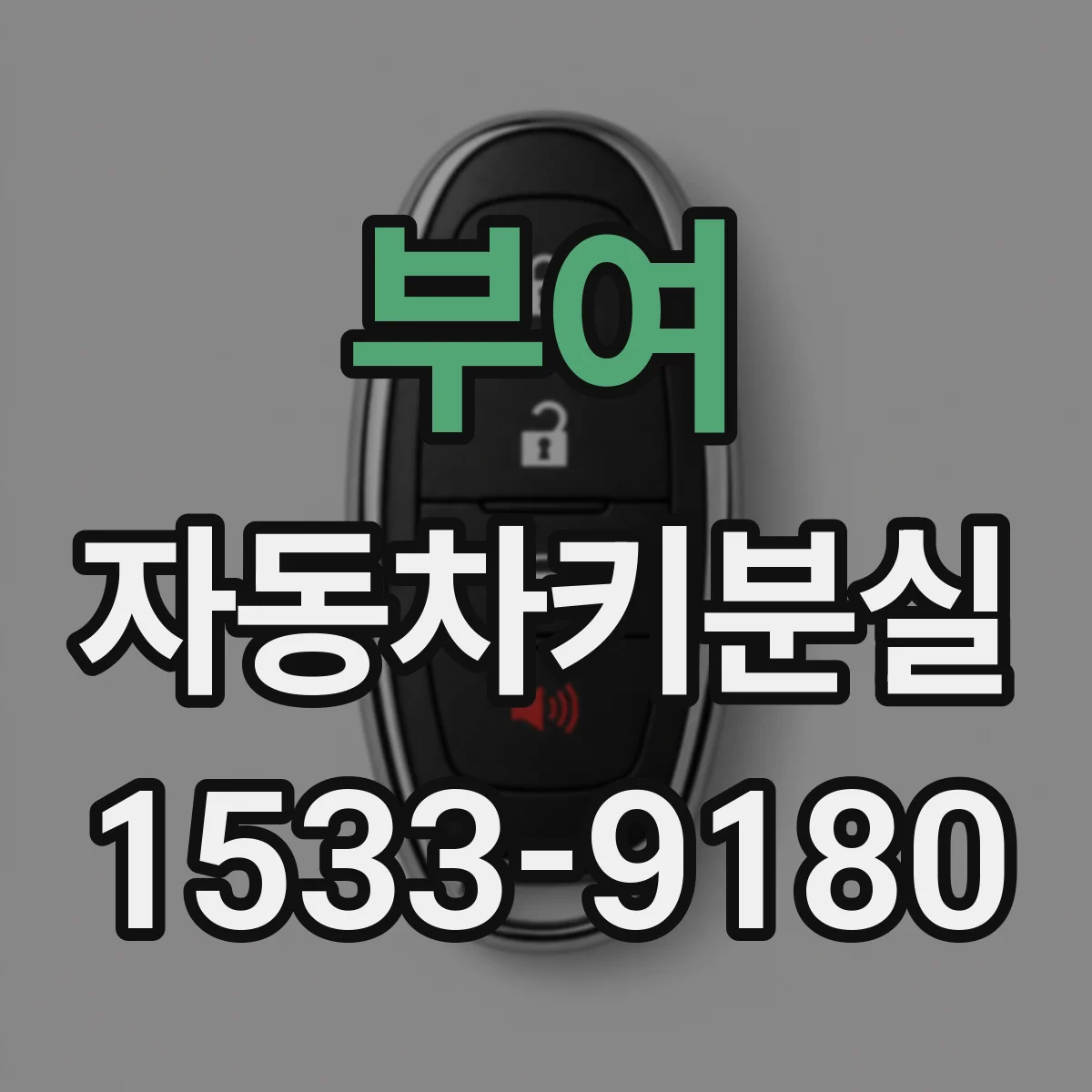 부여 자동차키분실