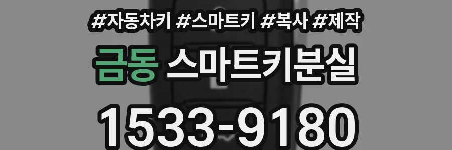 금동 스마트키분실