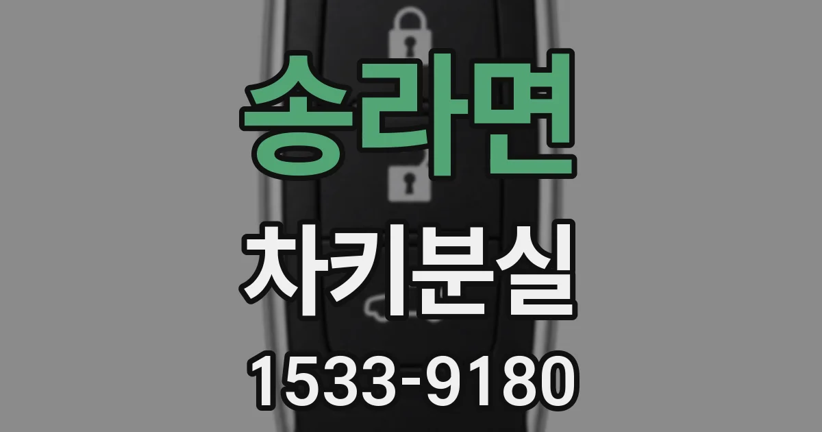 송라면 차키분실