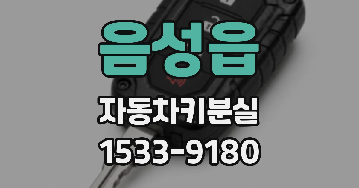 음성읍 자동차키분실