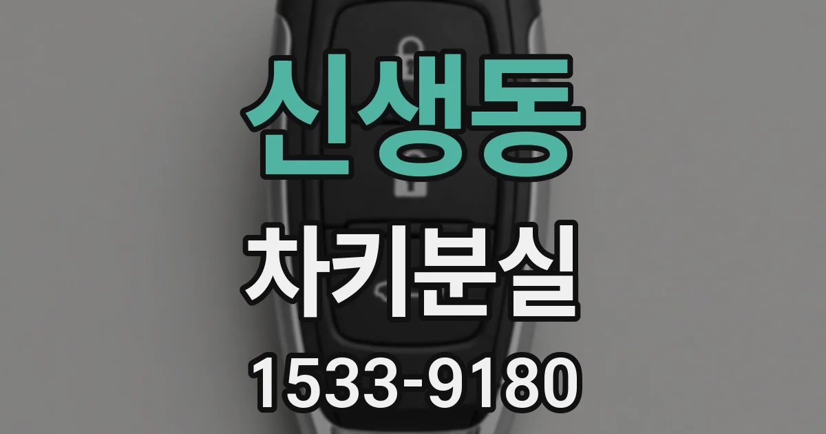 신생동 차키분실