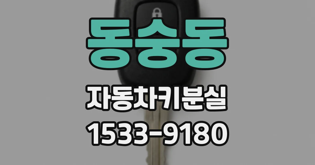 동숭동 자동차키분실