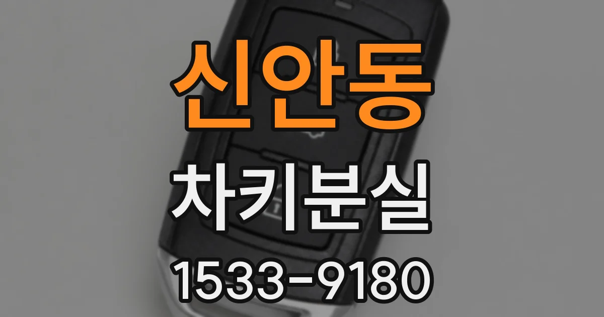 신안동 차키분실