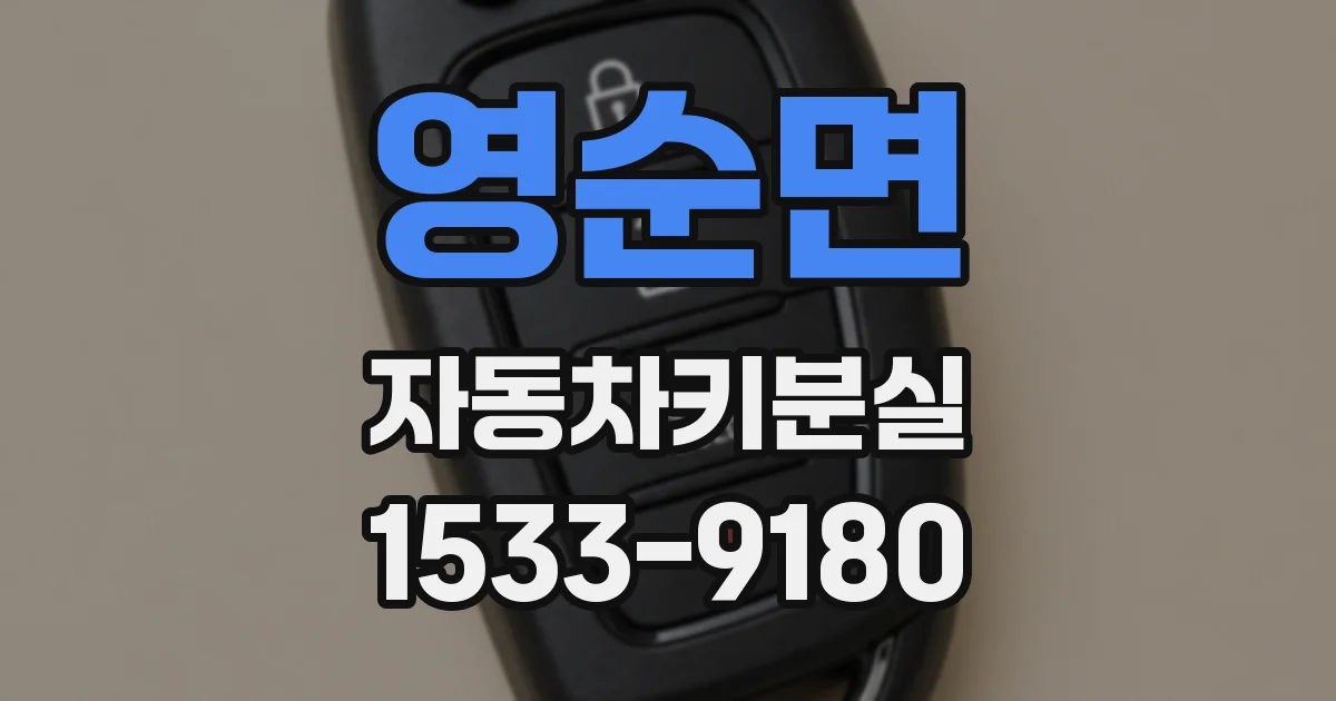 영순면 자동차키분실