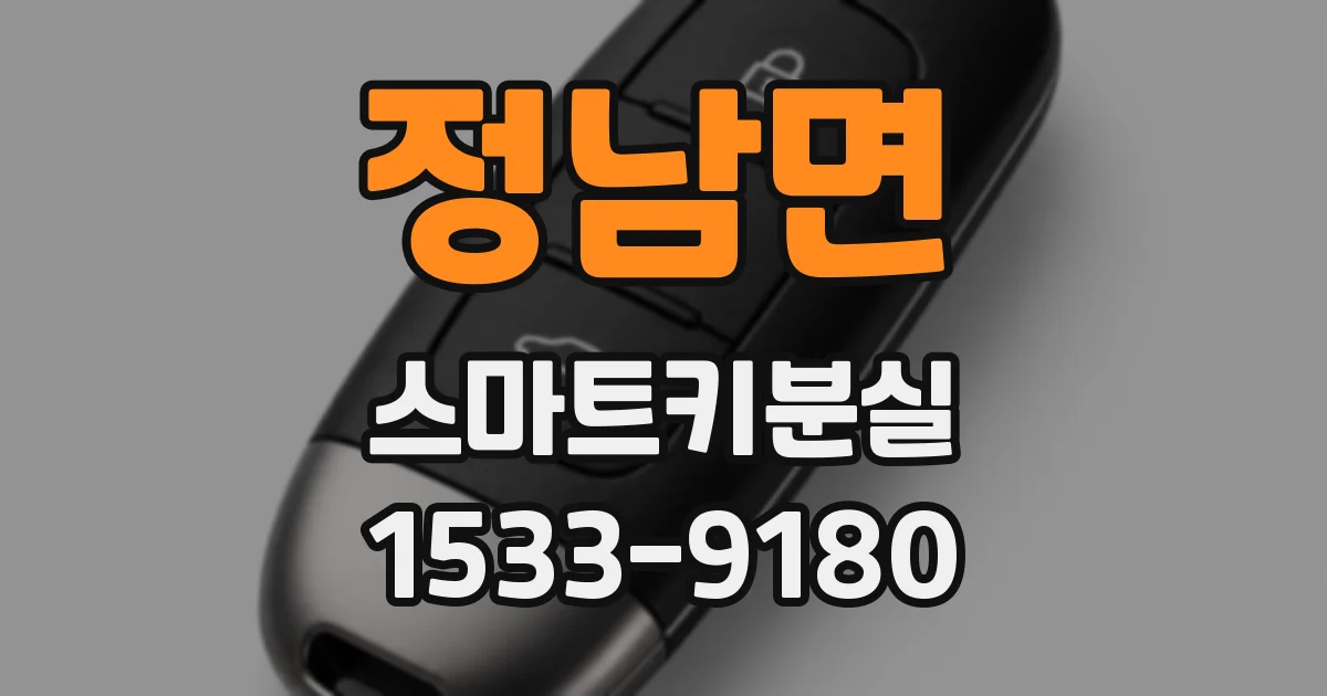정남면 스마트키분실