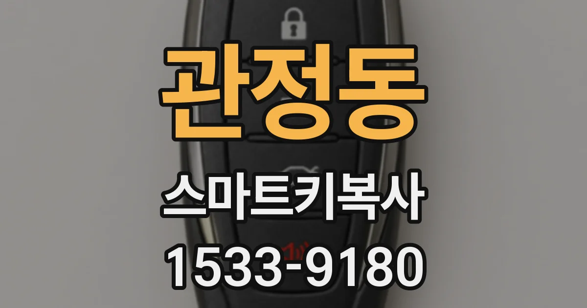 관정동 스마트키복사