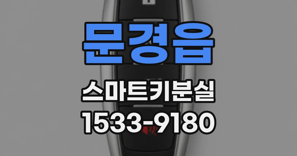문경읍 스마트키분실