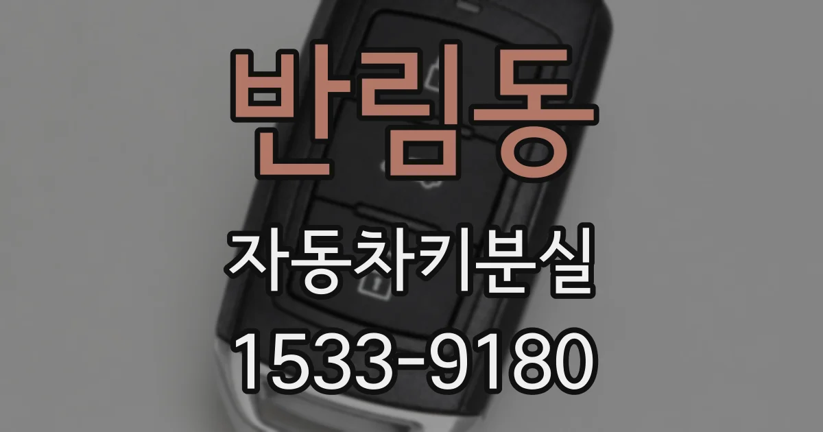 반림동 자동차키분실
