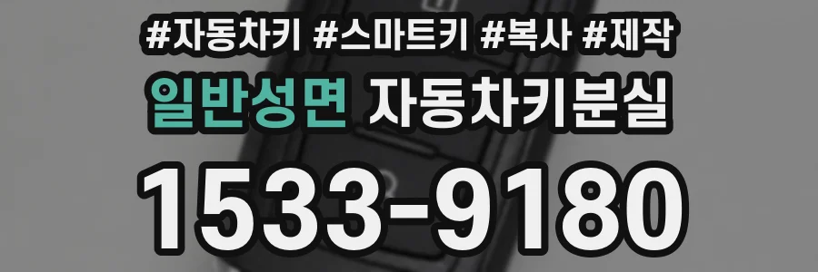 일반성면 자동차키분실