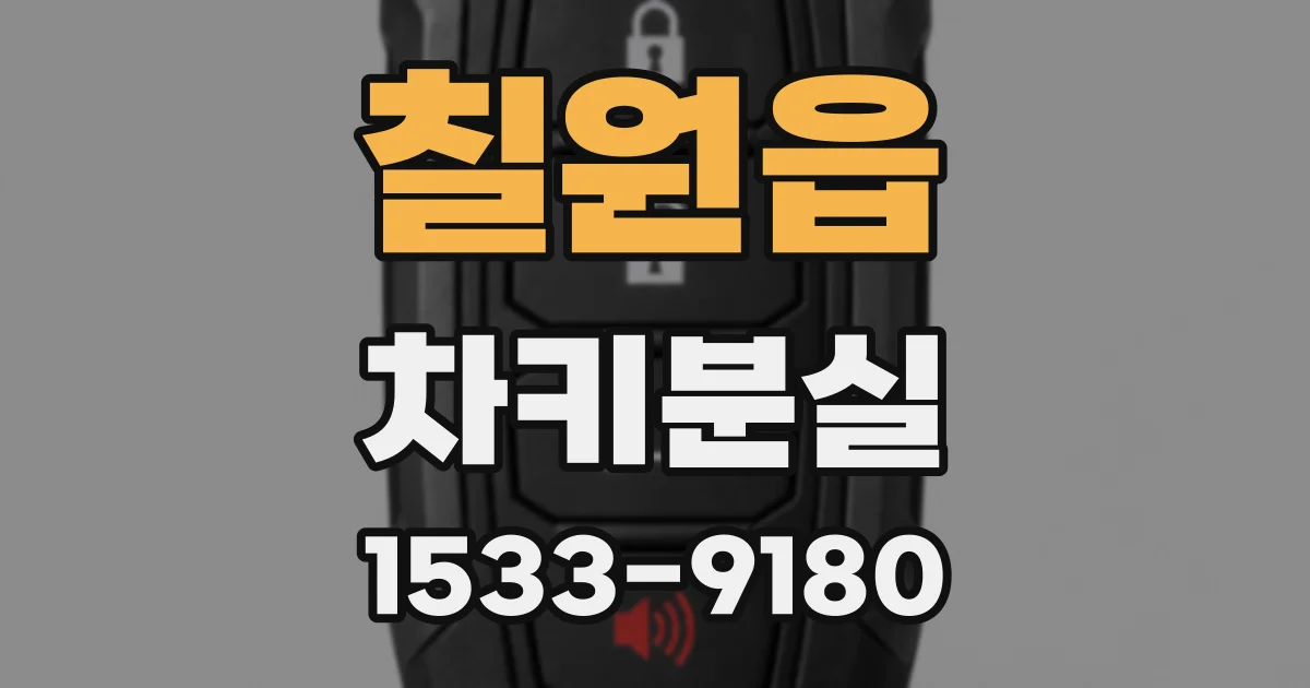 칠원읍 차키분실