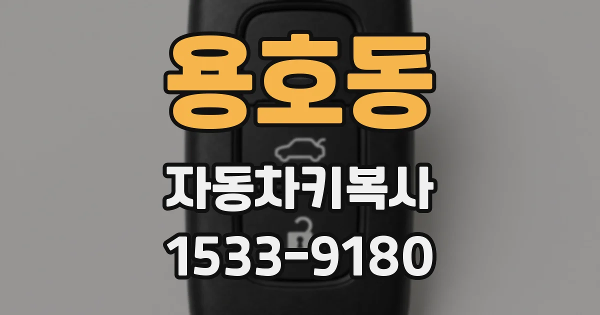 용호동 자동차키복사