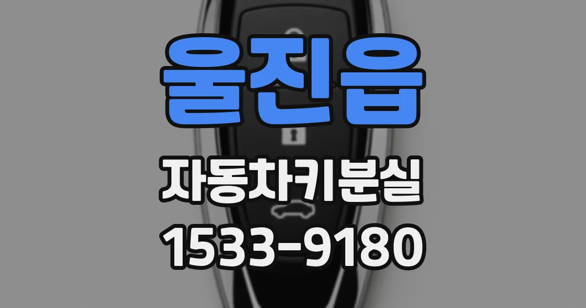울진읍 자동차키분실
