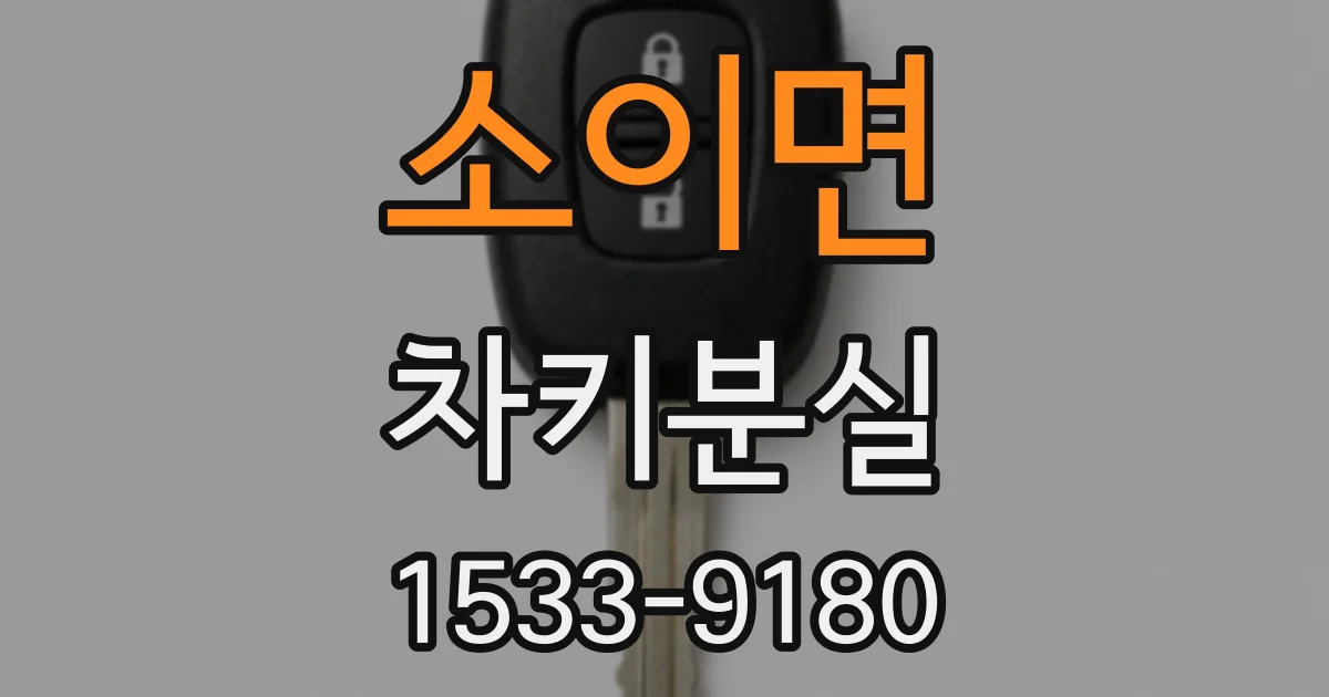 소이면 차키분실