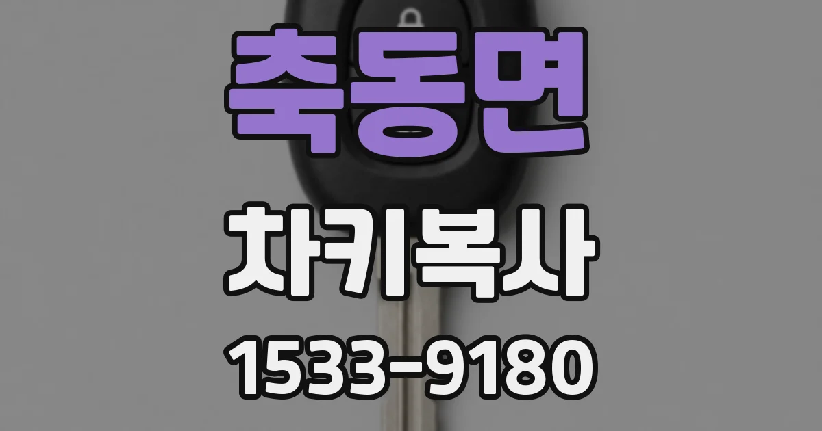 축동면 차키복사