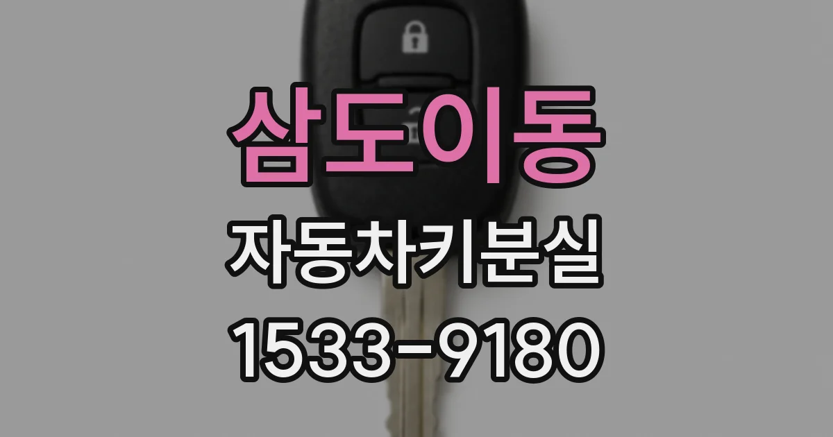 삼도이동 자동차키분실