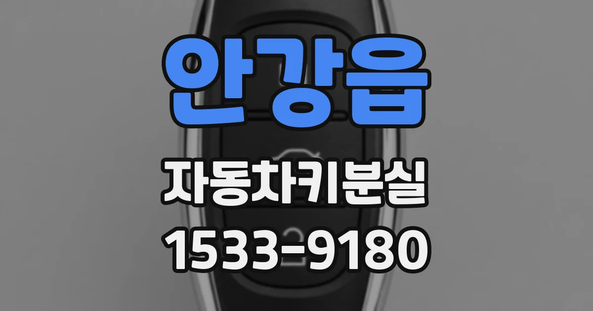 안강읍 자동차키분실