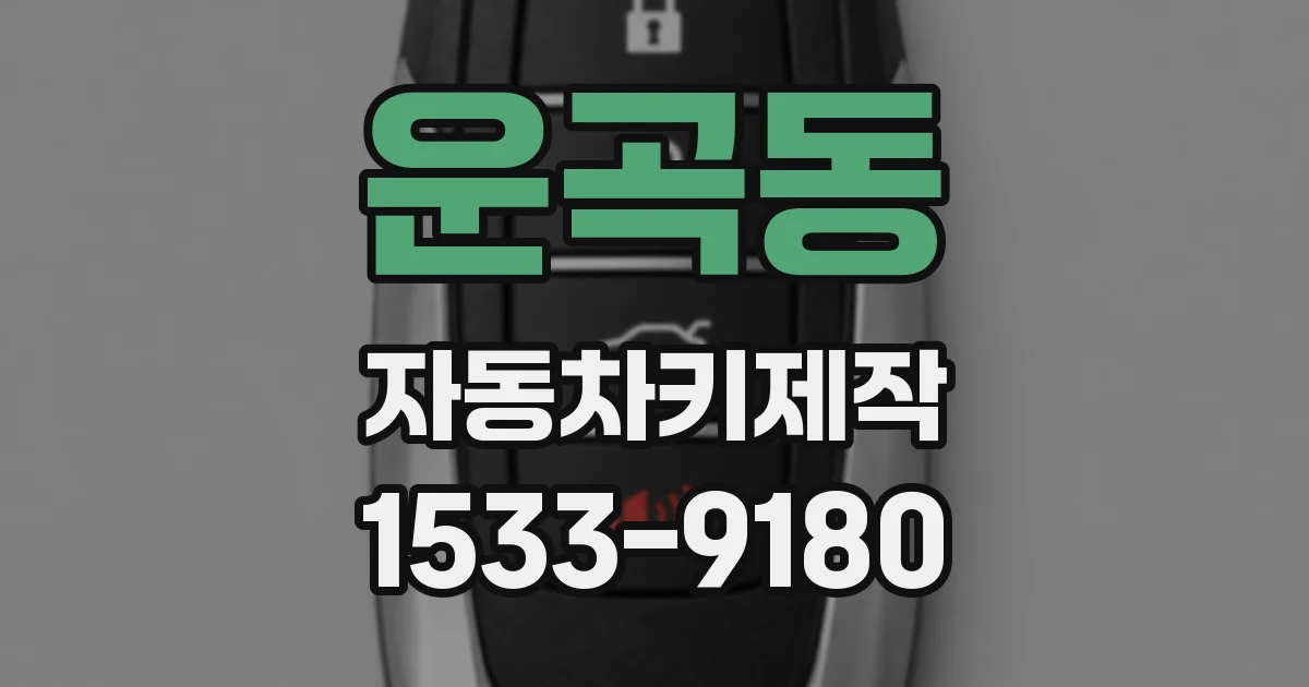운곡동 자동차키제작
