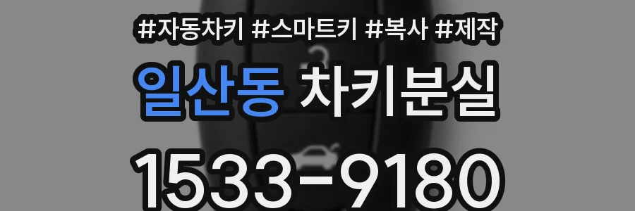 일산동 차키분실