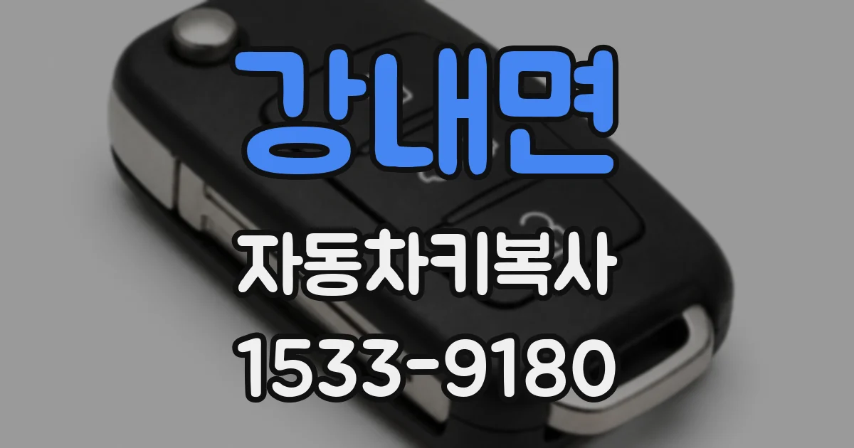 강내면 자동차키복사