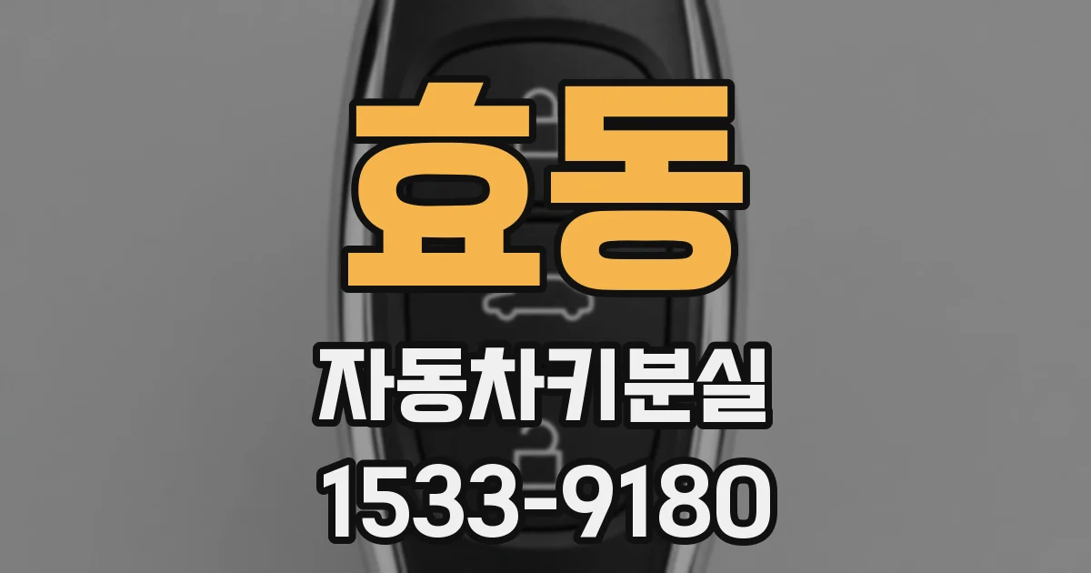 효동 자동차키분실