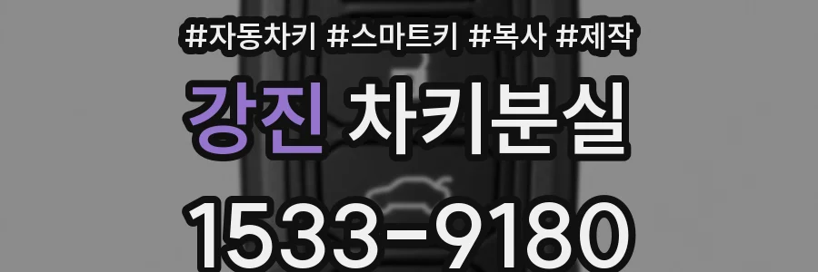 강진 차키분실