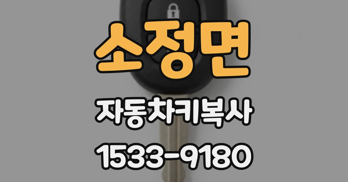 소정면 자동차키복사