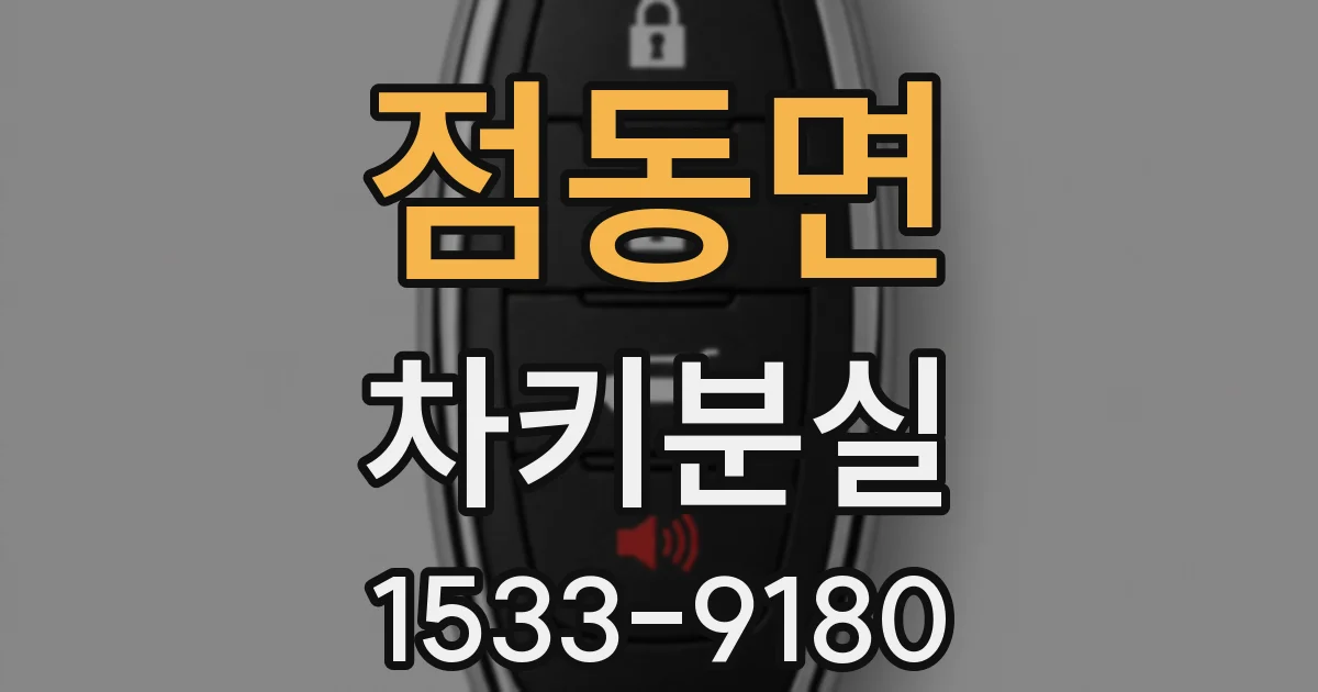 점동면 차키분실