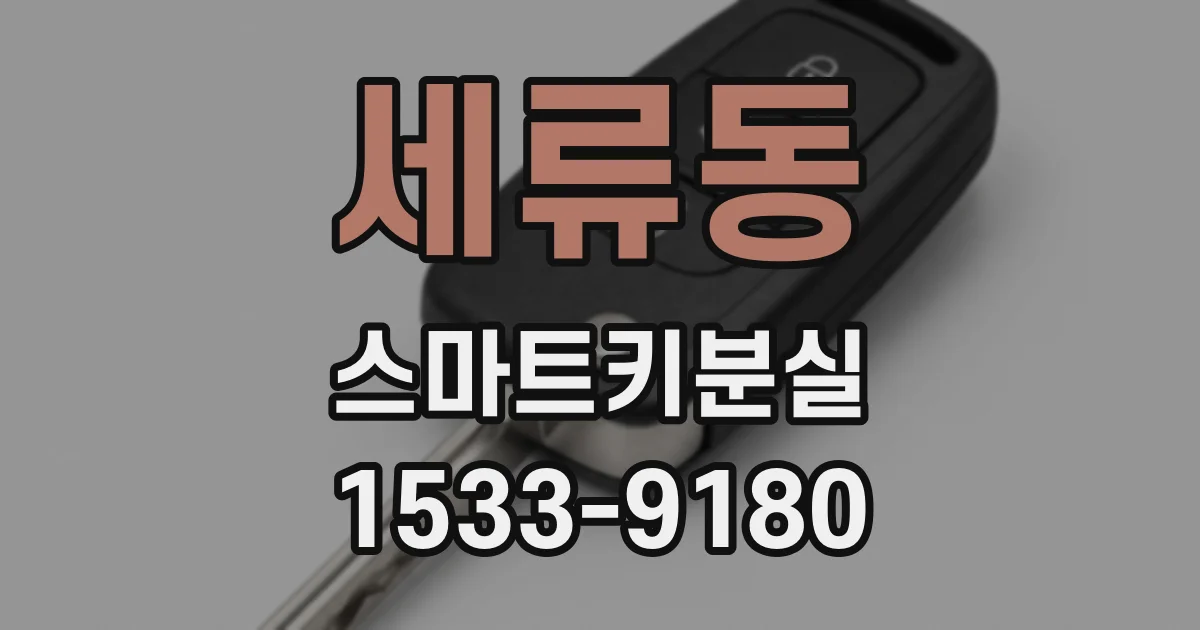 세류동 스마트키분실