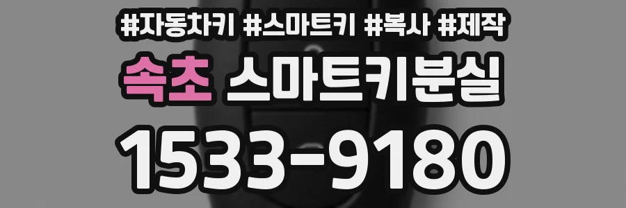 속초 스마트키분실