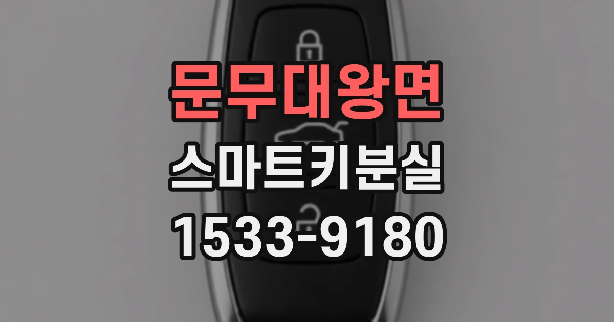 문무대왕면 스마트키분실