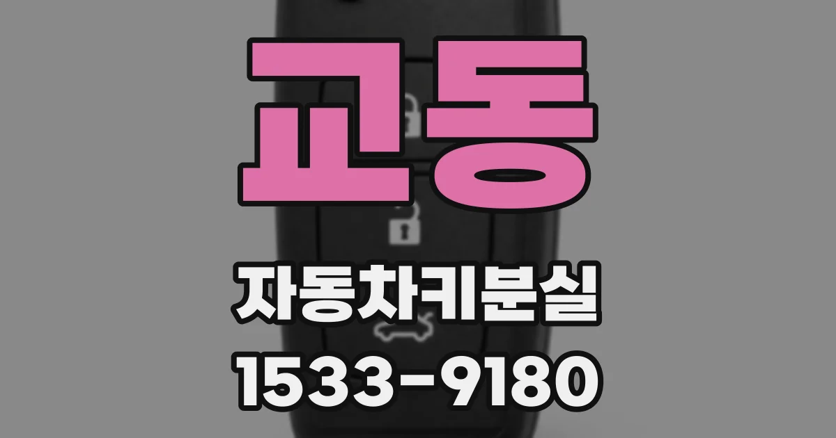 교동 자동차키분실